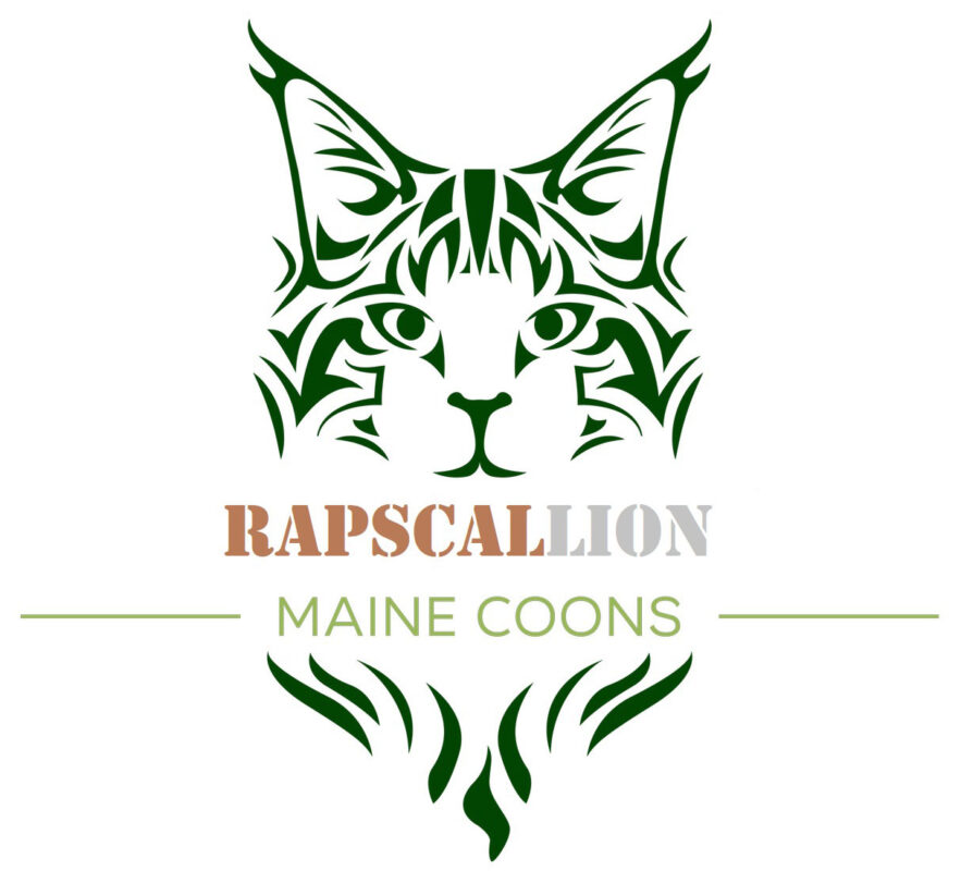 Rapscallion Paws